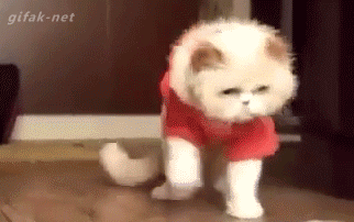 145232_69c12f55_64f586b44ef6c83e5ef791165b291f21_5.gif