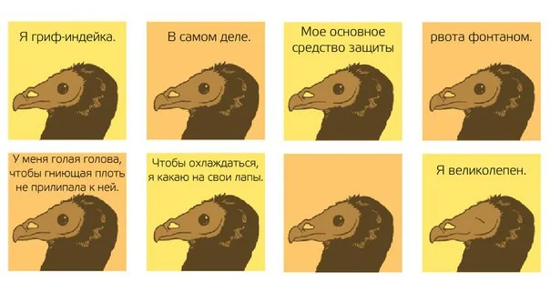 1463211255.webp