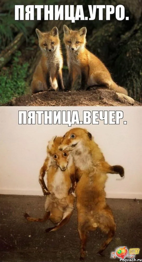 1463751635_prikolnye-kartinki-pyatnica-41035.webp