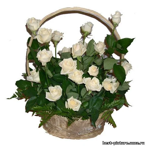 146457118.webp