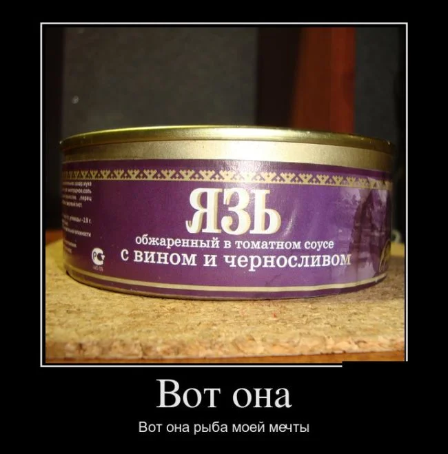 1470334025_16.webp