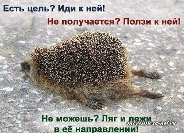 1470776402_775_page.webp