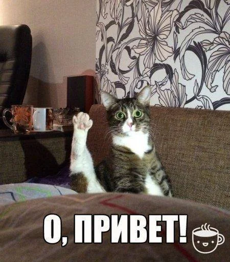 14716322_1761546204096549_8176675858145792621_n (1).webp