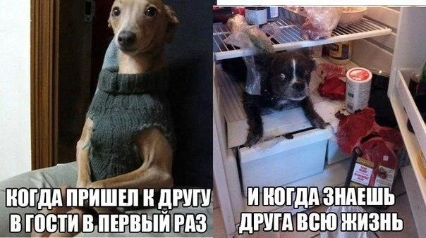 1473172342.webp