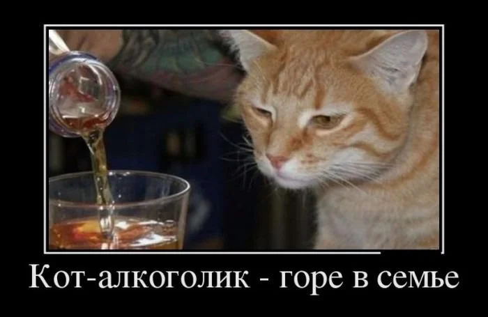 1475873702_prikoly-pro-alkogol-i-vypivku-40.webp