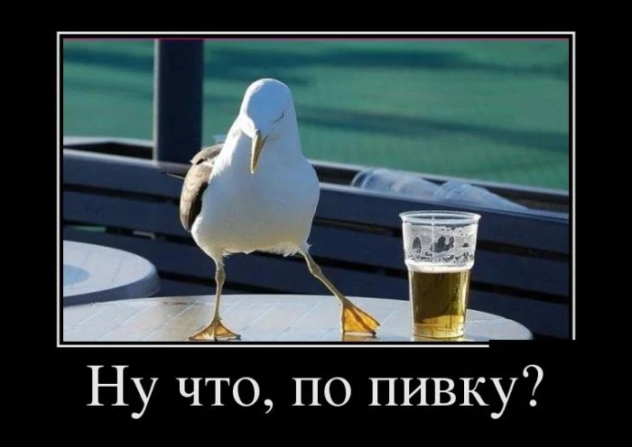1482256425_16.webp