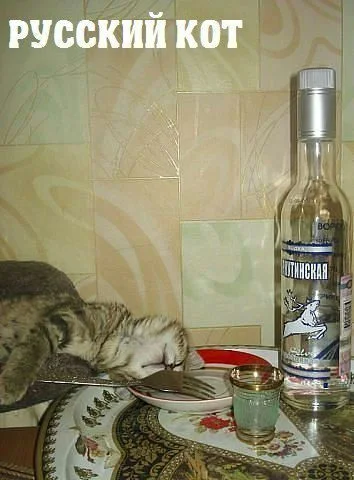 1482767593_podborka-2.webp
