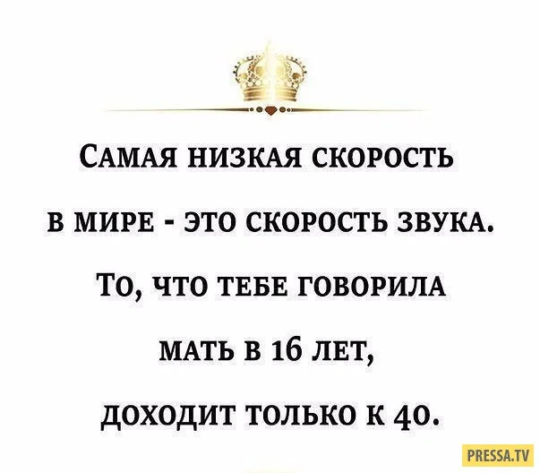 1484067760_2n4ogct_qwm.webp