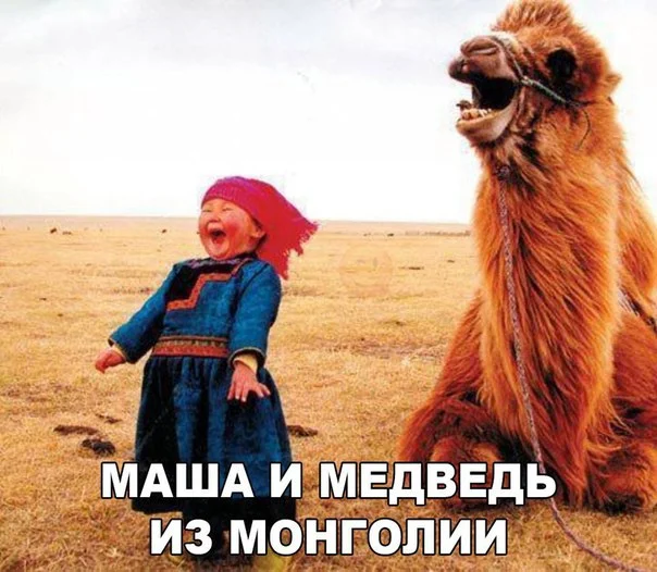 1488648818.webp
