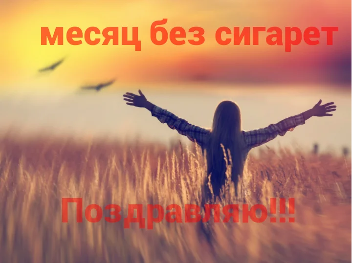 1489210205028.webp
