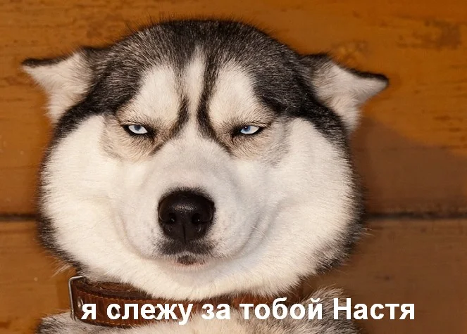 14907-1361959562-1-663x475.webp