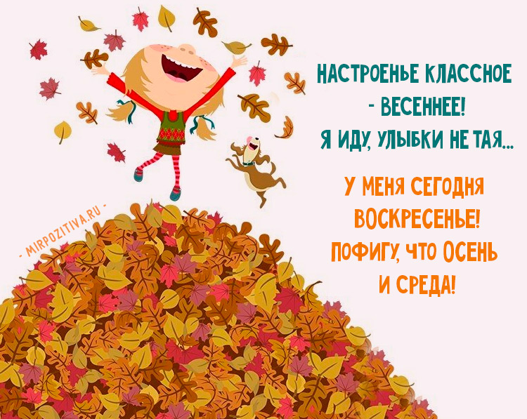 1496146380_pro_osen_smeshno.jpg