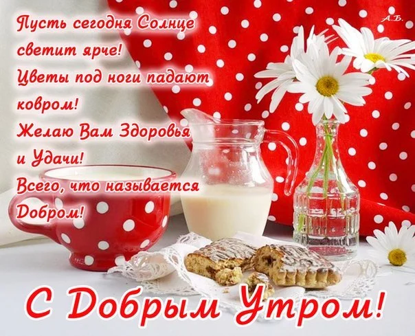 15.webp
