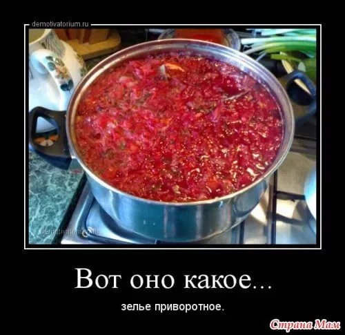 15.webp