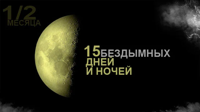 15.webp