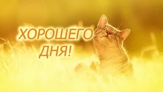 1506198475_horoshego-dnya-2.webp
