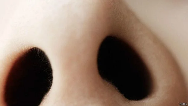 150820123242_smell_nostrils_624x351_getty.webp