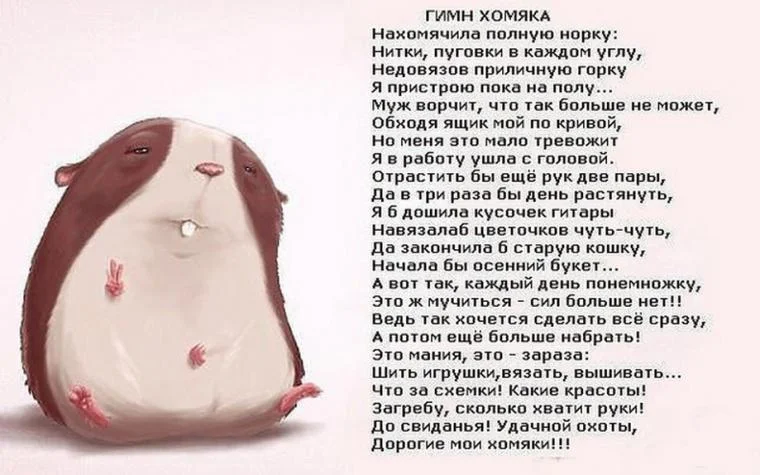 151021080248 (1).webp