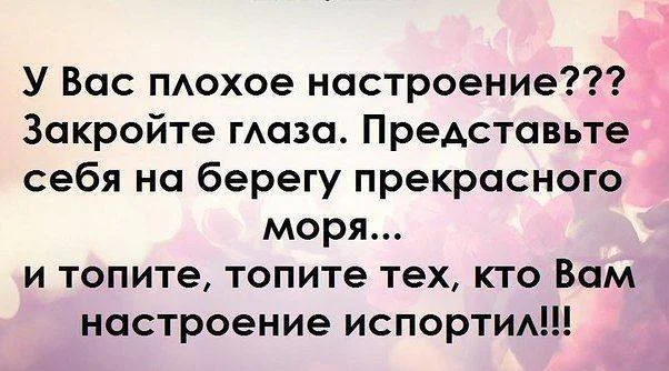 1511902_806719826032489_2484959518186399219_n.webp