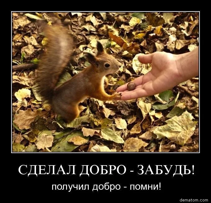 151697-sdelal_dobro_zabudi_poluchil_dobro_pomni.webp