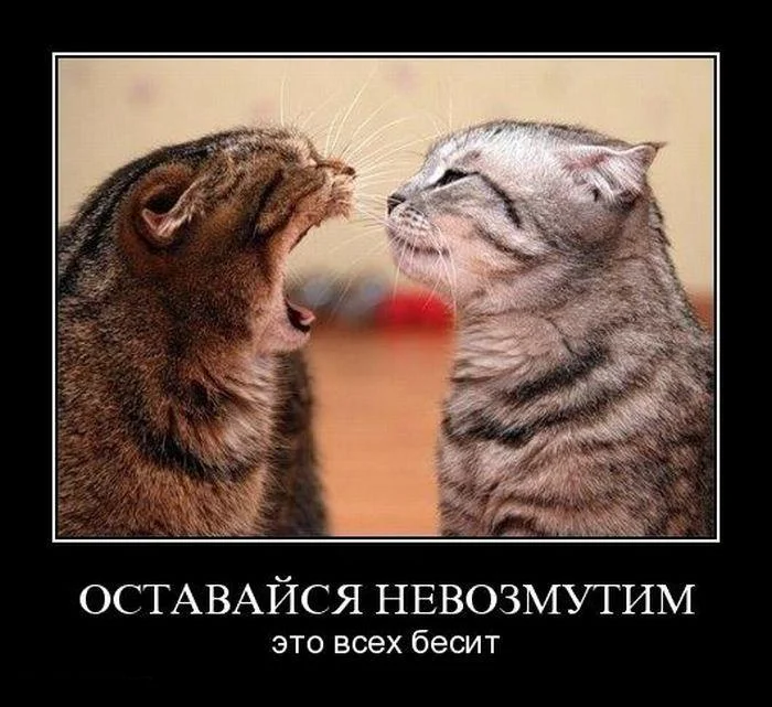 152.webp