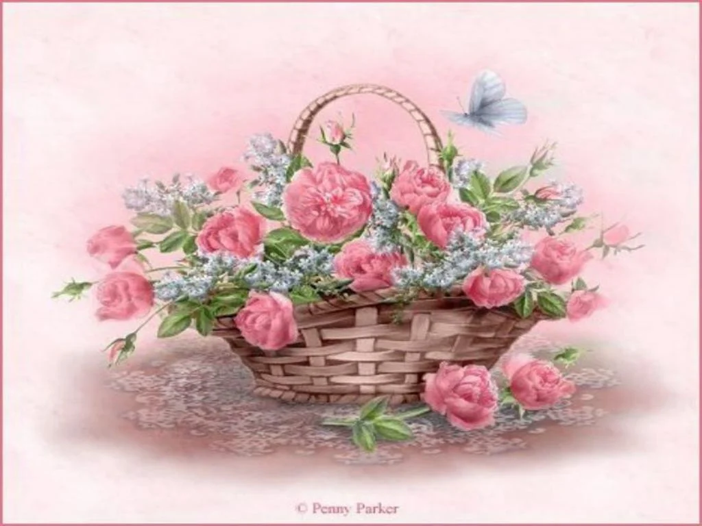 1525555.webp