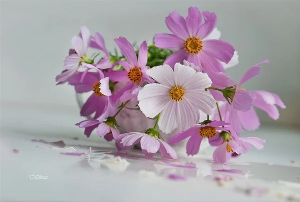 152т.webp