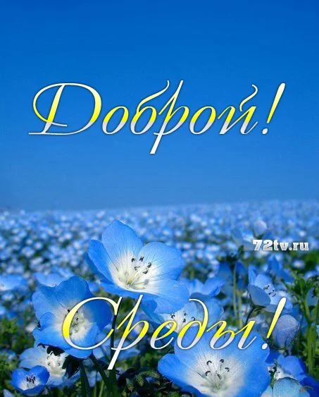 1530294743_dobroy-sredy-2.webp