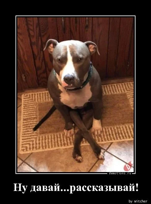 1534139055_Nu-davay.rasskazyvay_demotions.ru.webp