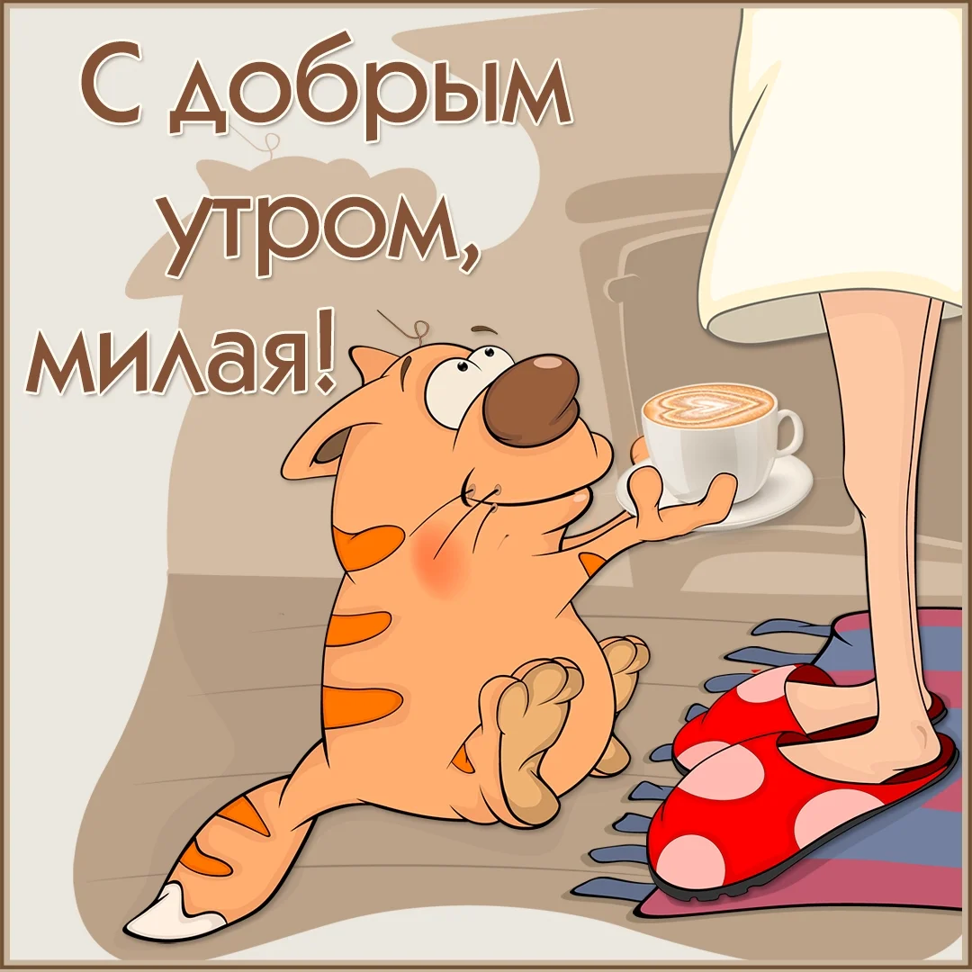 1539340138_otkrytka_pleykast__ampquotc_dobrym_utrom_milaya_.webp