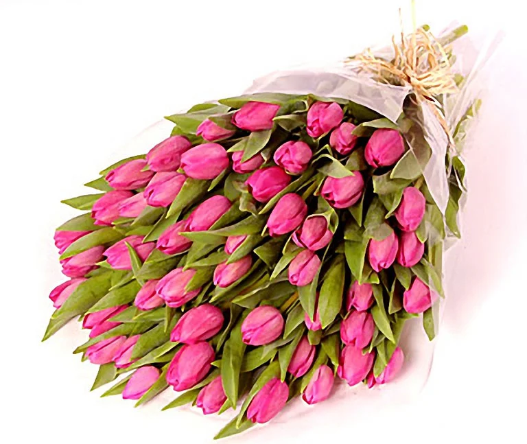 15394.webp