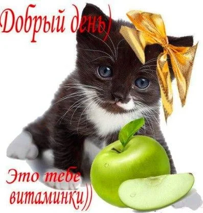 1542525501_23 (1).webp