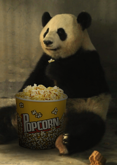 1544557791_3400-gifka-panda-est-popkorn.gif