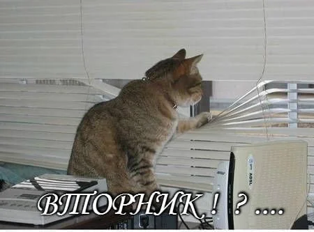 1544688541_23 (1).webp