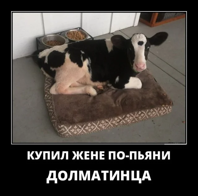 1556994354535 (1).webp