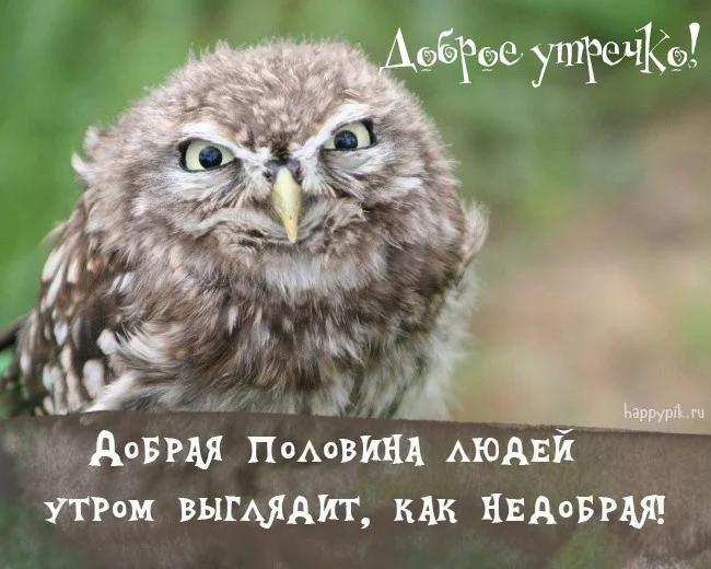 1559889251_Доброе утречко.webp