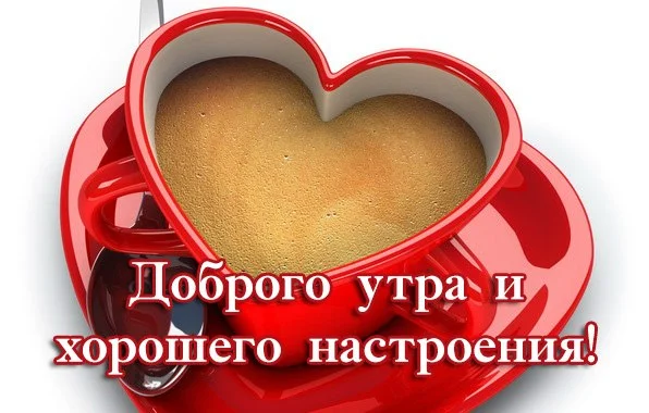 15626644.webp
