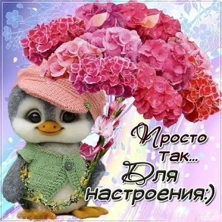 1562f7818f3caf6284a7ed3ca70b279e.webp