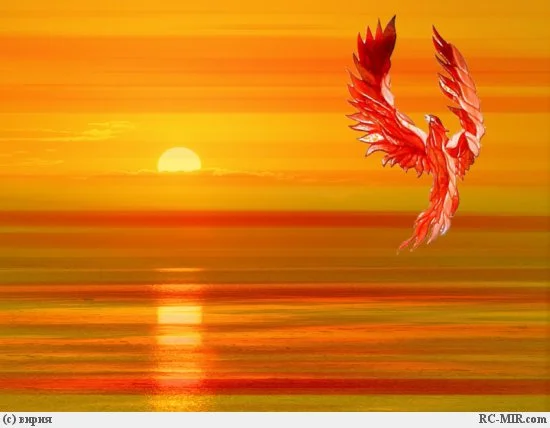 1563.webp