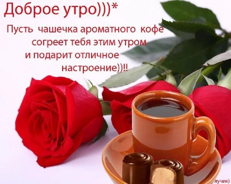 15673110.webp
