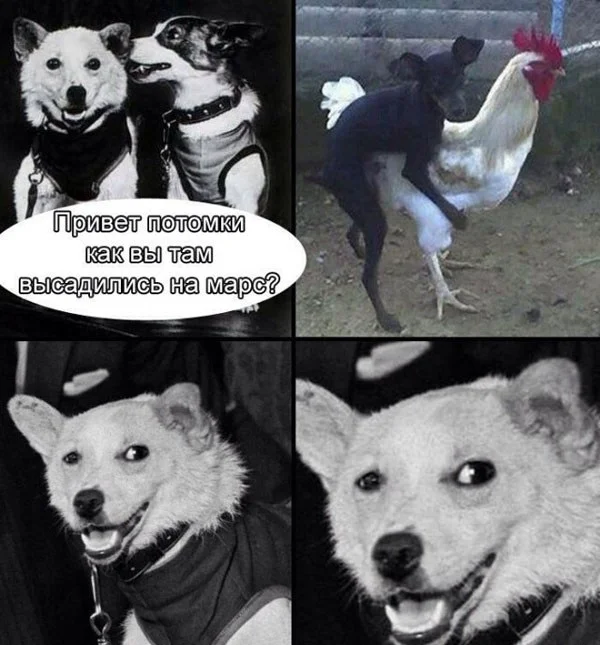 1571571394_13569120 (1).webp