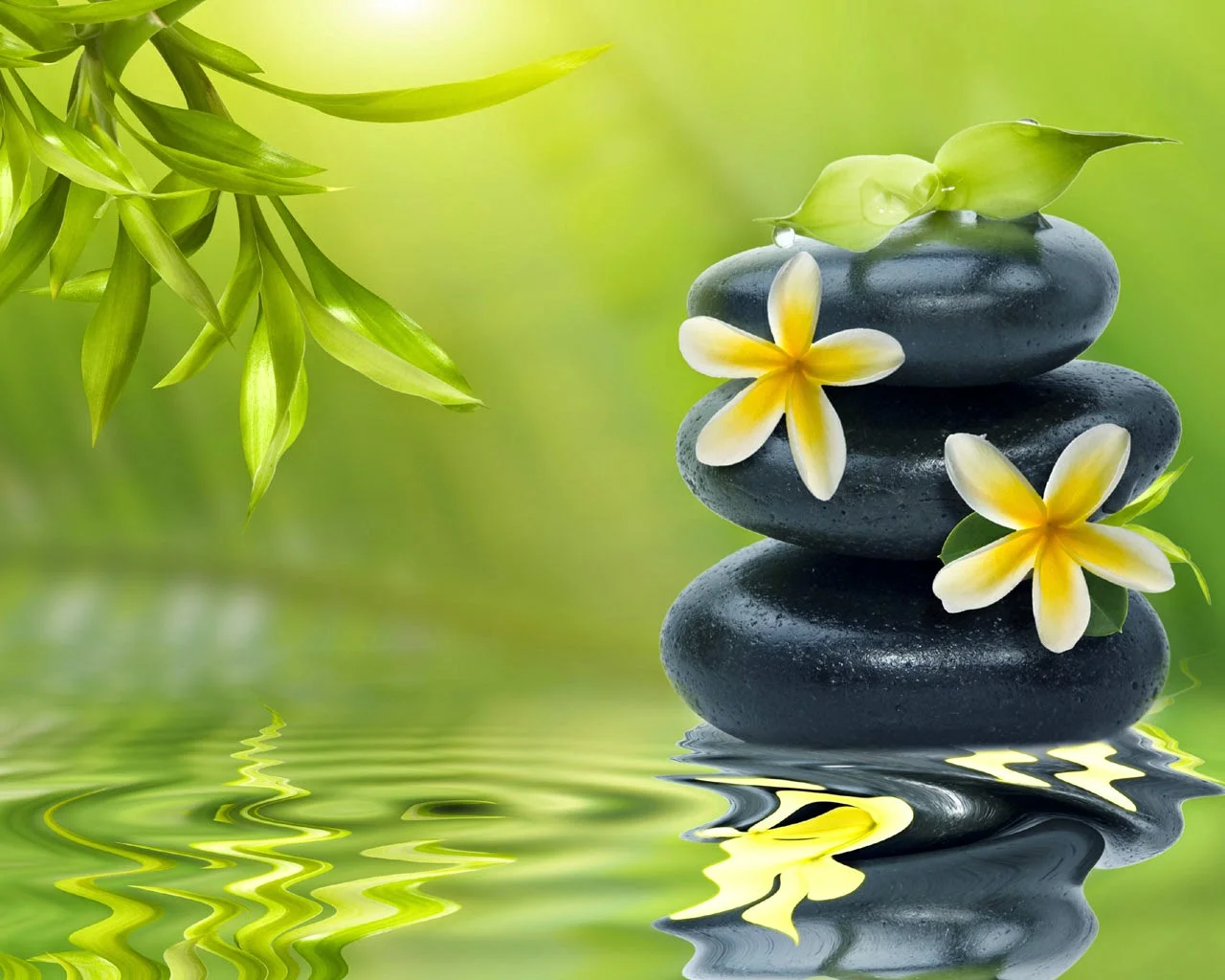 1576_zen-meditation-wallpaper-03.webp