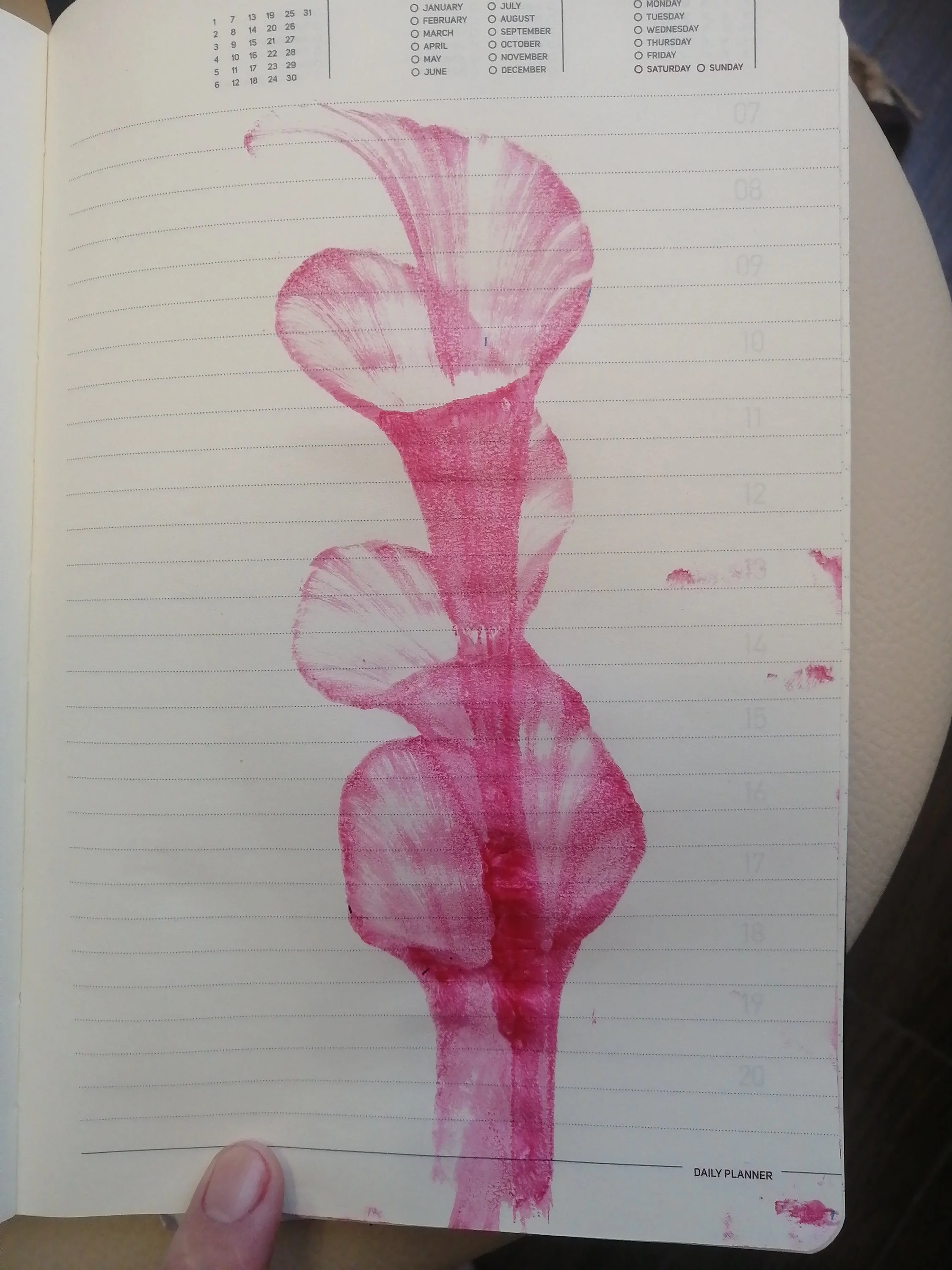 15844281470572574012400924028559 (1).webp