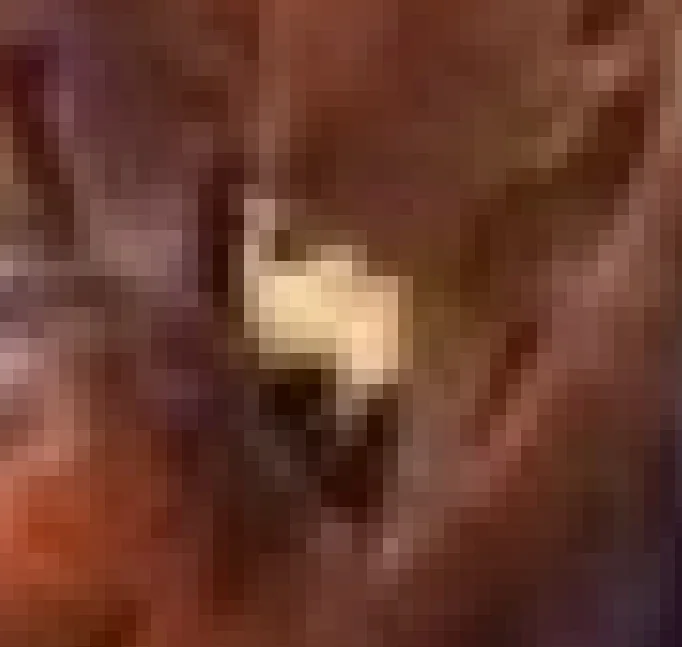 1585491090448 - Windows Photo Viewer.webp