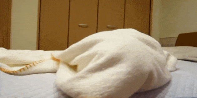 15_1504265274.gif
