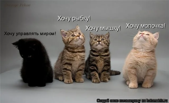 15о.webp