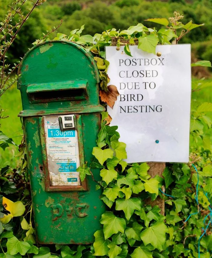 16 NEWS No Posting Jus.webp