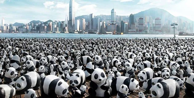 1600-pandas-in-hong-kong-feeldesain-animals.webp