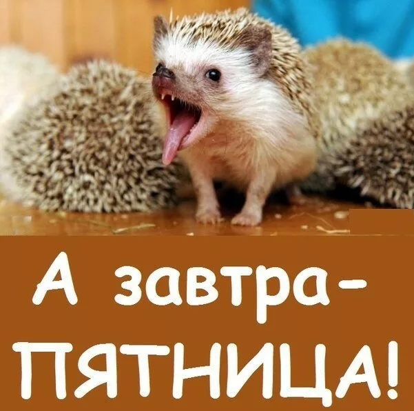 1600321693151.png