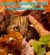 1602047782845.png